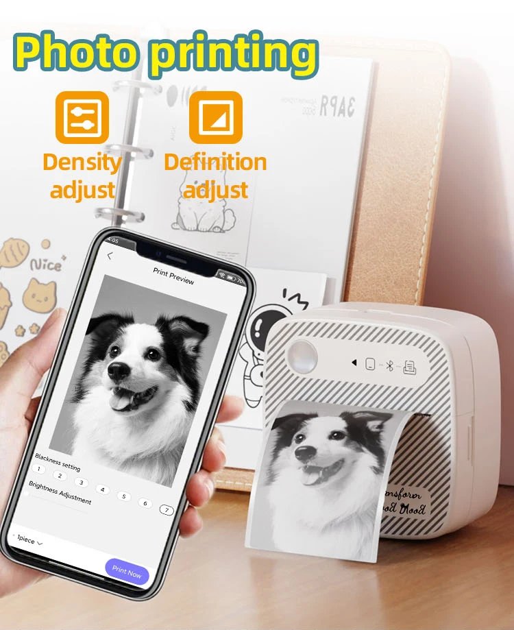 DOLEWA B3 Portable Mini Printers Wireless Bluetooth Inkless Sticker Maker Printer Tag Price Machine for Office School Kitchen